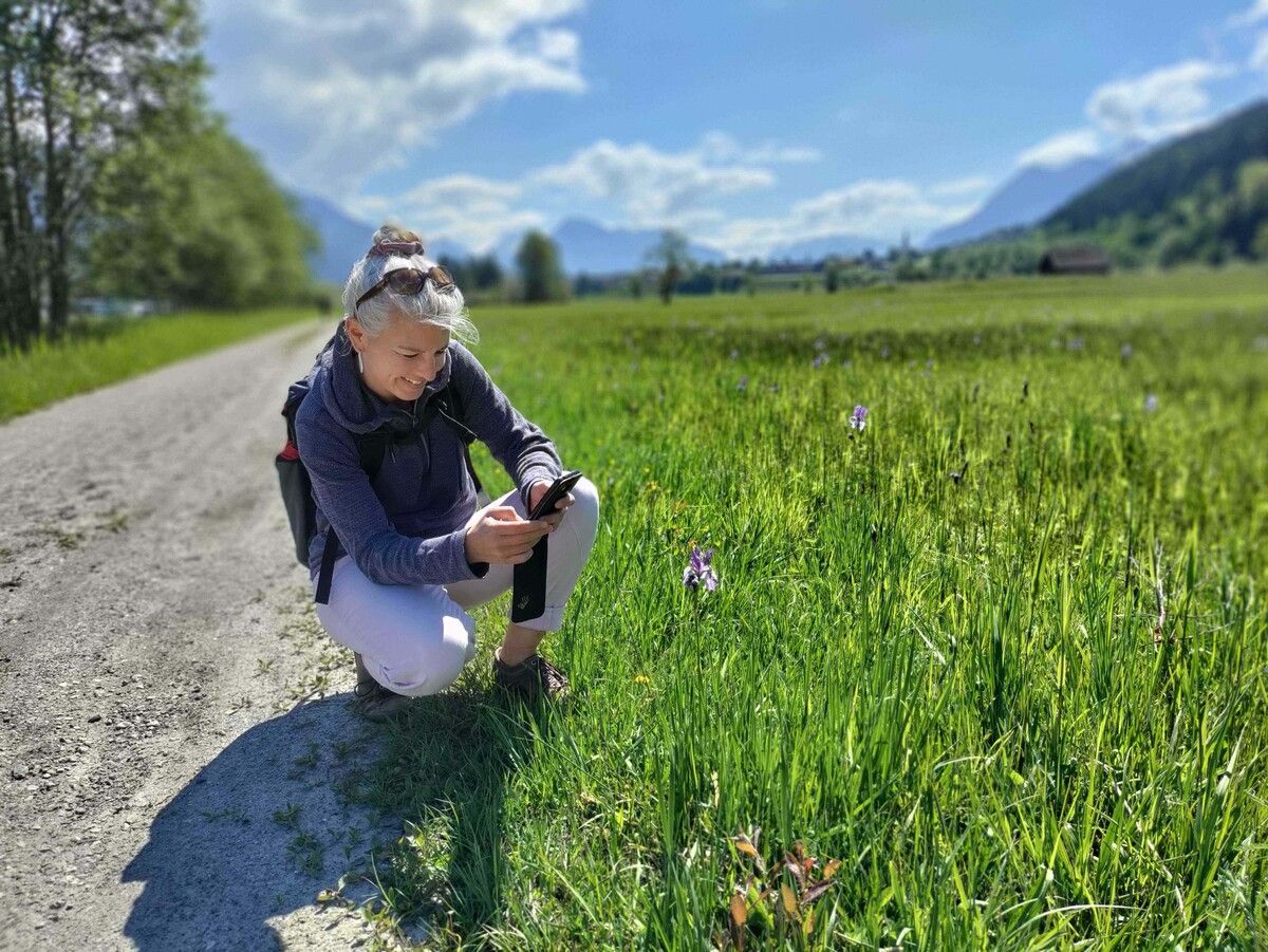 Für die Teilnahme am BioBlitz ein Foto von einem Tier oder einer Pflanze machen, mithilfe der App ObsIdentify bestimmen lassen und mit einem Klick auf Observation.org hochladen.