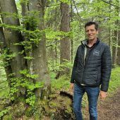 Zweiter Waldfriedhof geplant
