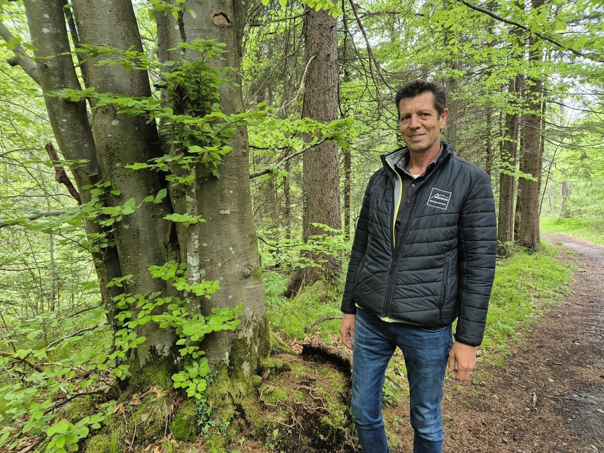Helmut Pechhacker zeigt das Waldstück, das künftig ein Waldfriedhof werden soll. ⇒VN/JUN
