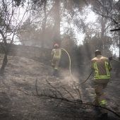 Brände bei Jerusalem unter Kontrolle