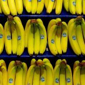 Chiquita entlässt Tausende Bananenarbeiter