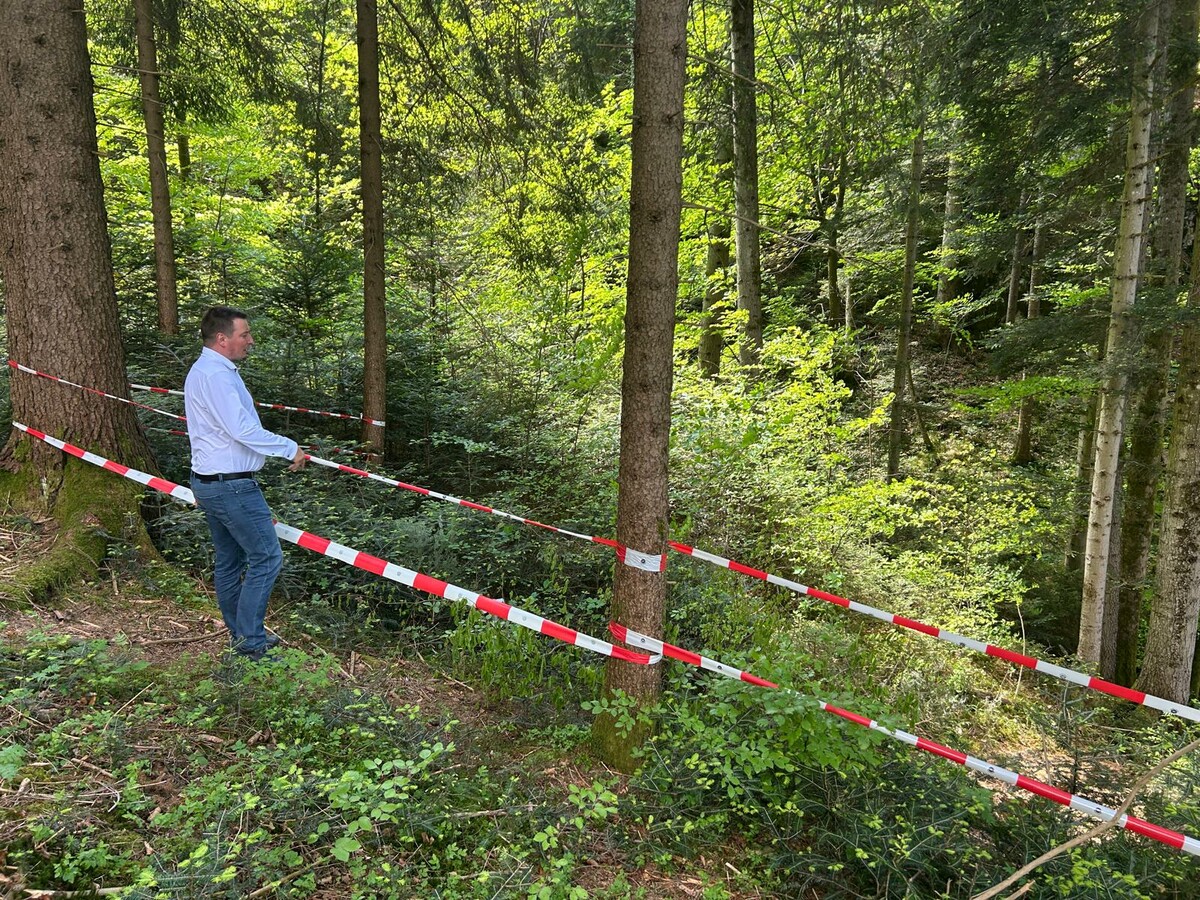 Quer durch den Wald verlaufen die Leitungen für die Trinkwasserversorgung.⇒vn/sah (3)