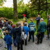 Ausflug in den ­nächtlichen Wald