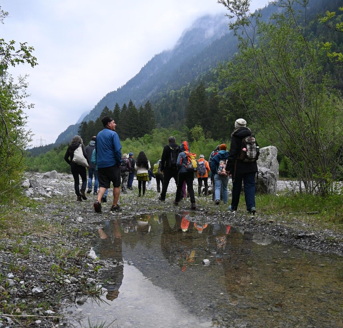 Zahlreiche Interessierte bestaunten die Alfenz-Auen.⇒ stadt bludenz