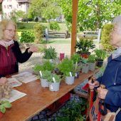 Gut gepflegte Pflanzen in neuer Obhut