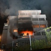 Hund kam im Flammeninferno ums Leben