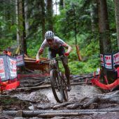 Scherrer zeigt sich in Topform