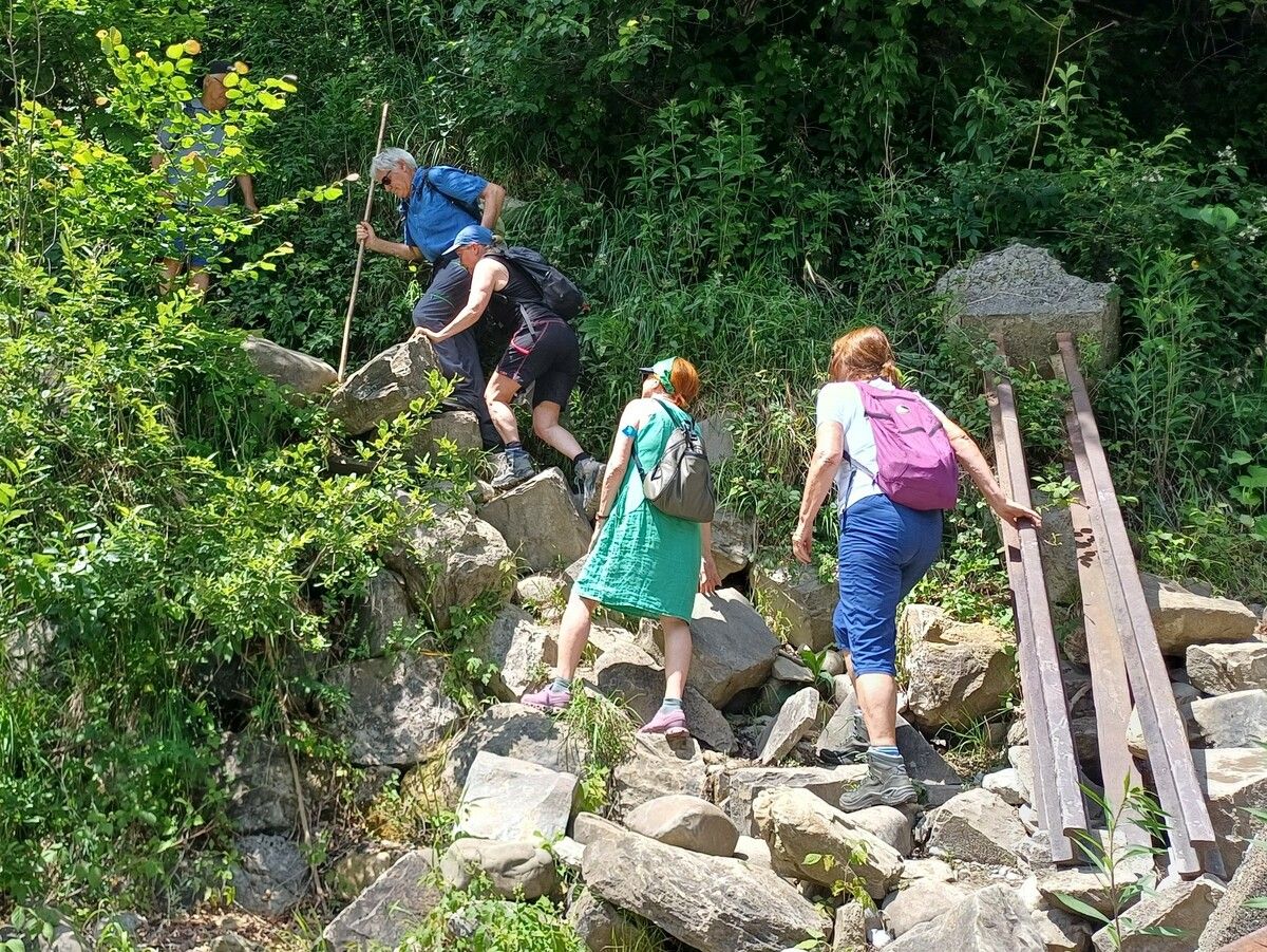 Der Alpenschutzverein lud im Juni zur geführten Wanderung.⇒ASV