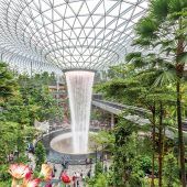 Den Dschungel im Flughafen bestaunen