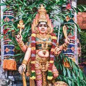 Bunte Tempel in Little India