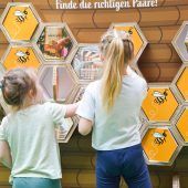 Alles rund um die fleißigen Insekten