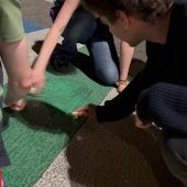 Grüne entfernten Hakenkreuze von Zebrastreifen