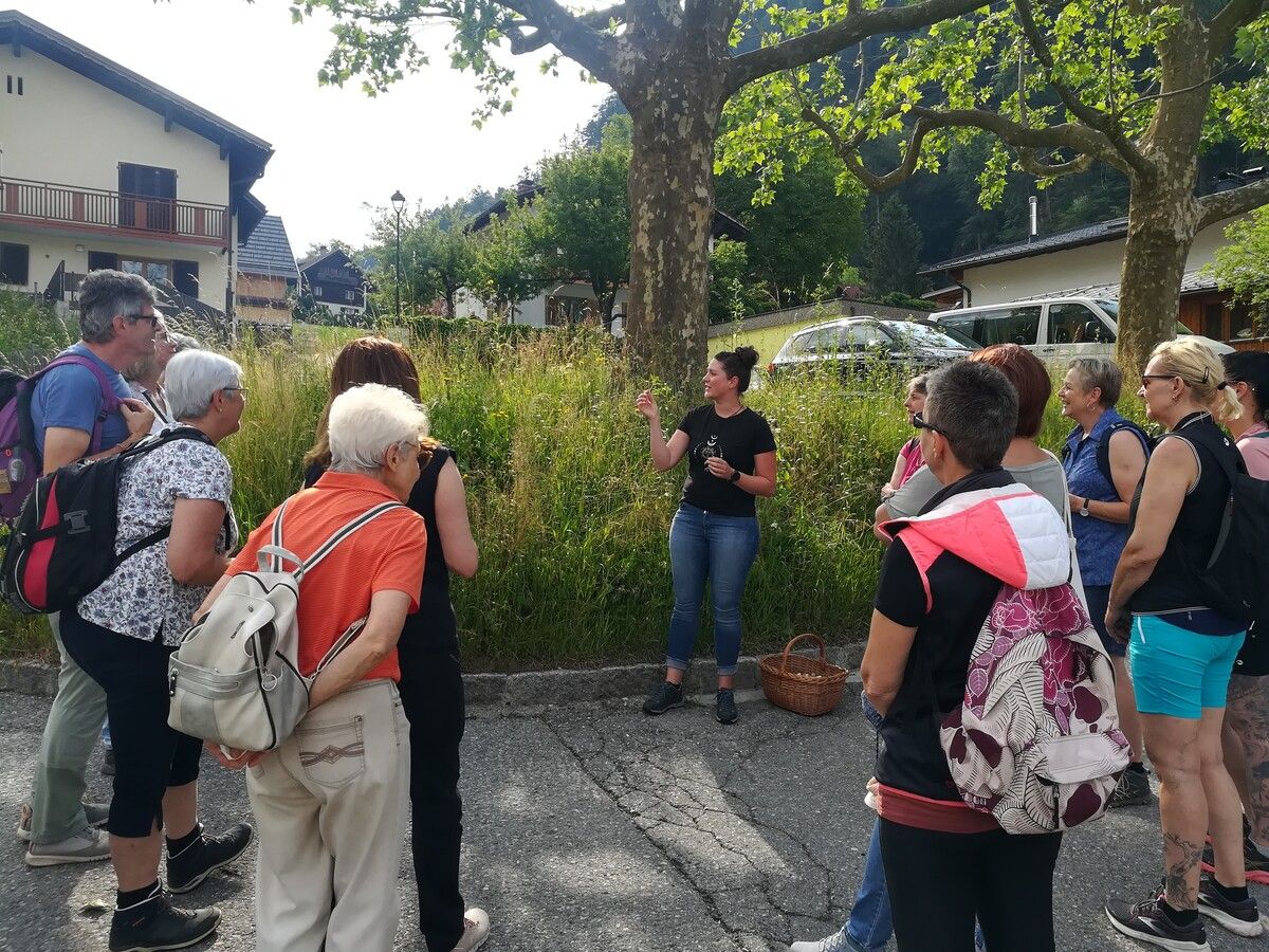 Die Stadt Bludenz lädt zu einer Kräuterwanderung ein. ⇒⇒Stadt Bludenz