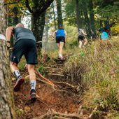 Staufenlauf-Anmeldung ab Dienstag