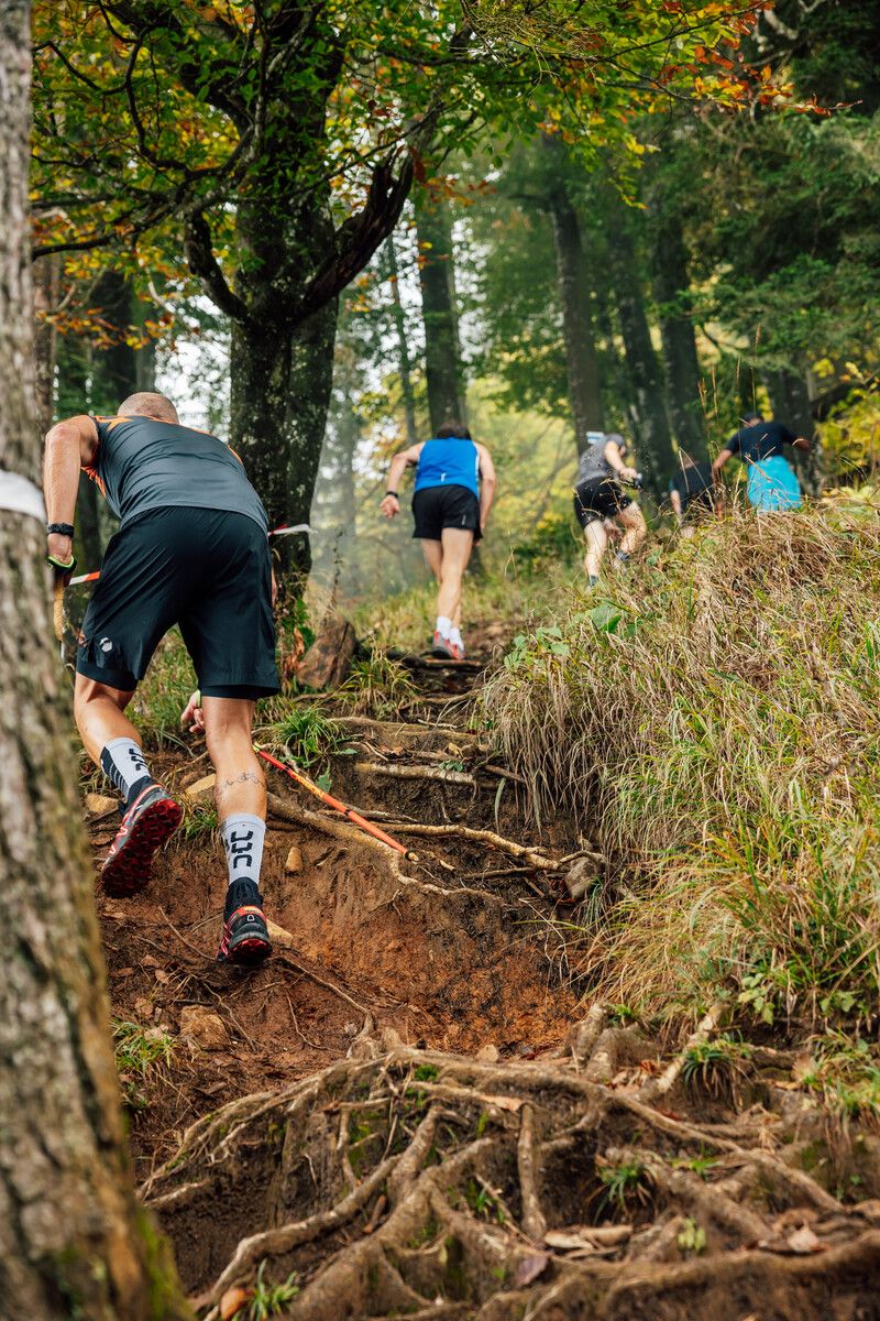 Die Startplätze für den Staufenlauf sind begehrt.