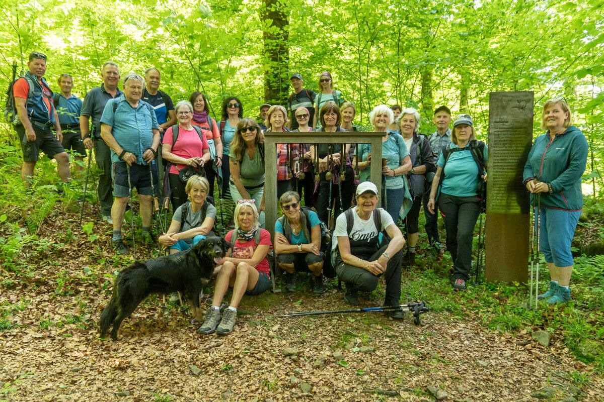 Die Wandergruppe genoss sonnige Aussichten und gesellige Stunden im Bregenzerwald. ⇒Verein