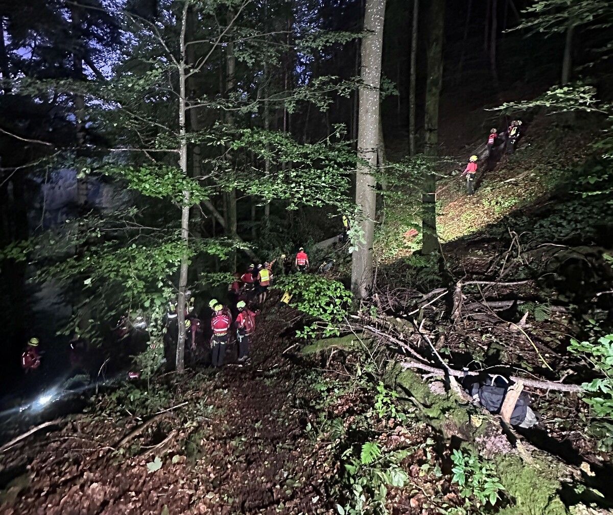Dutzende Rettungskräfte begaben sich zum Einsatzort in einem steilen Waldstück.