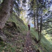 Der Wald als Stresskiller