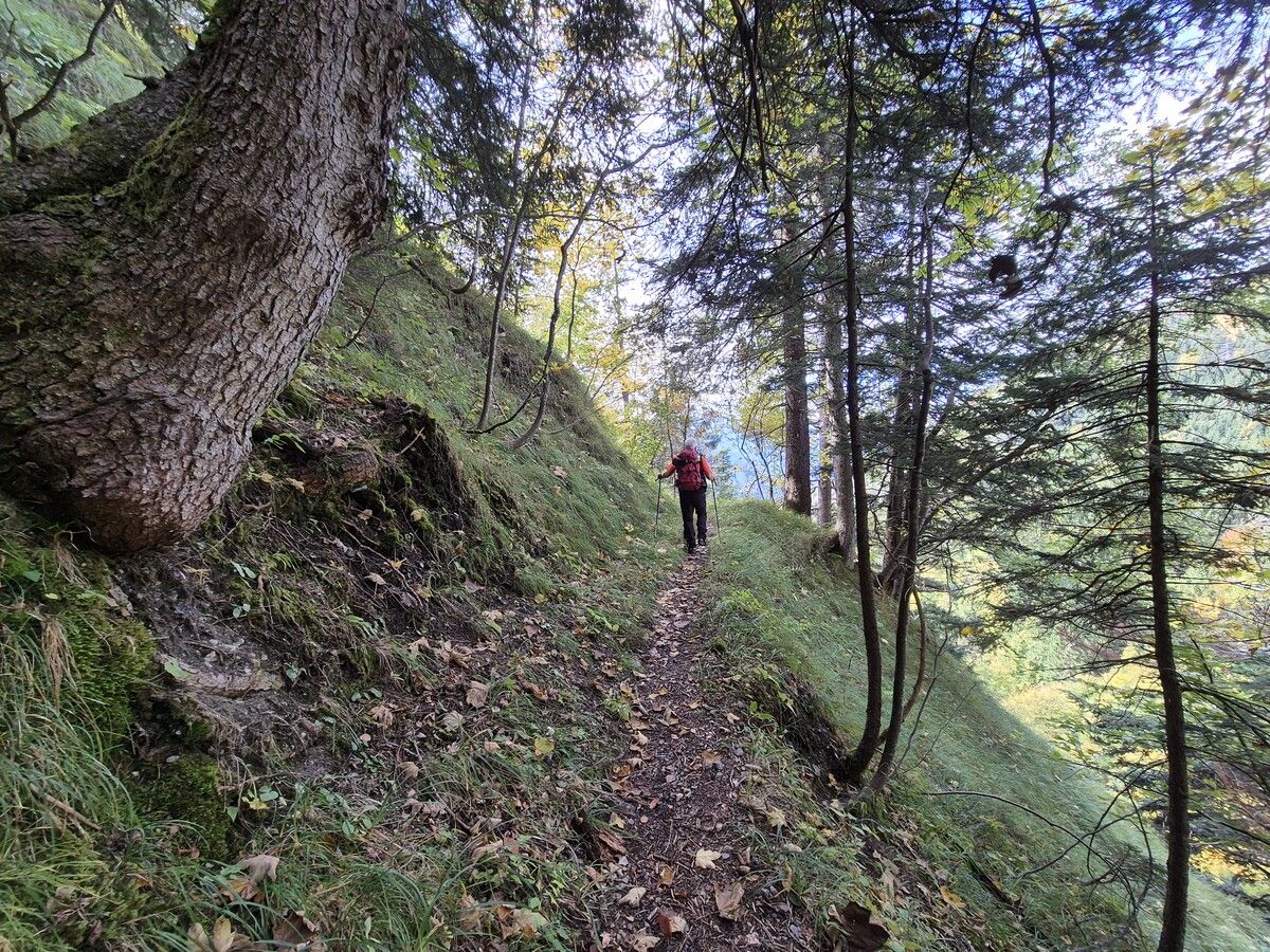 Egal, ob jemand zünftig wandert oder einfach nur schlendert: Der Wald bringt's auf jeden Fall.⇒vn/böcken