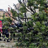 Baum in Venedig stürzt auf Menschen