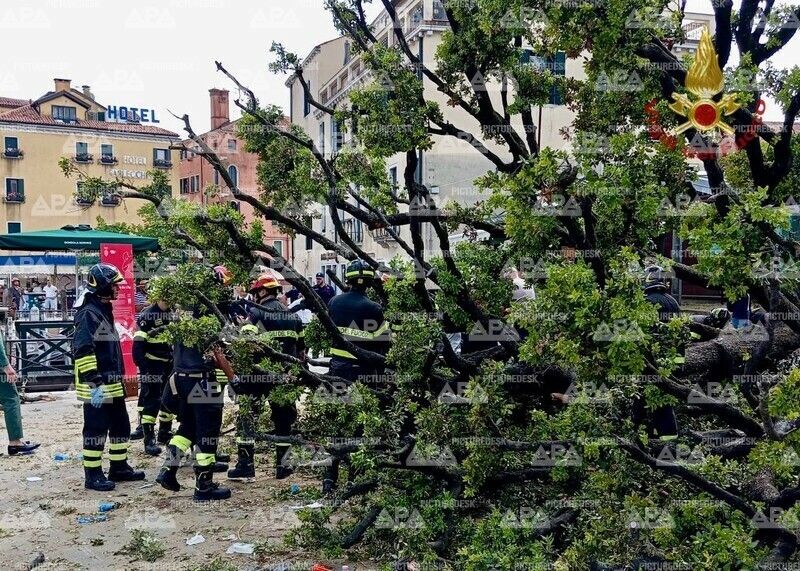Warum der Baum umstürzte, ist noch unklar.⇒LaPresse/Palazzo Chigi/Filippo Attili
