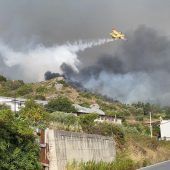 Waldbrände toben in Süditalien