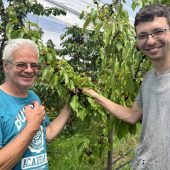 Fraxerns Geduld trägt heuer Früchte