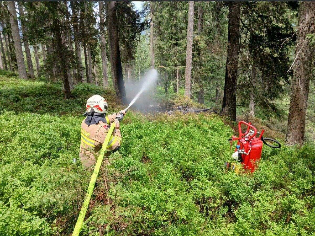 Das Kleinflugzeug stürzte bei Wald im Pinzgau ab und ging in Flammen auf.⇒Apa