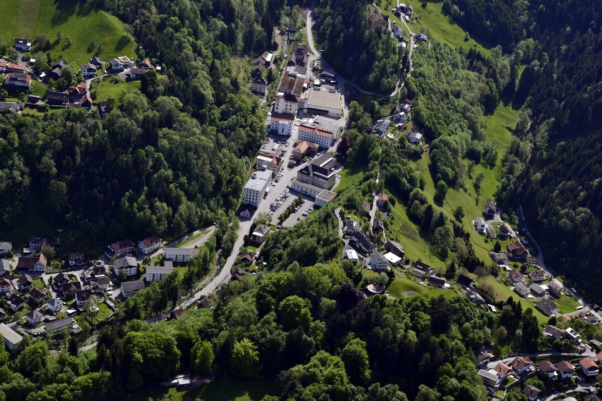 Das Steinebach-Areal aus der Vogelperspektive. ⇒Vlbg. Landesregierung