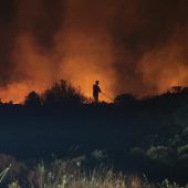 Die heftigen Waldbrände in Europa wüten weiter