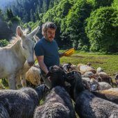 Wolf löst Sorgen aus