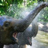 Eine kalte Dusche