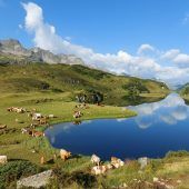 Der laaange Weg zum Langsee