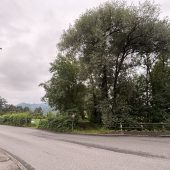 Statt im engen Waldstück entsteht die VS Forach auf dem Nachbargrund. »A5