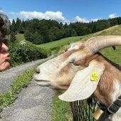 Die VN zeigen die schönsten Urlaubsfotos – ganz egal, ob tierisch oder karibisch. »A6