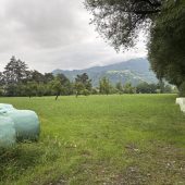 Günstiger auf neuem Grundstück