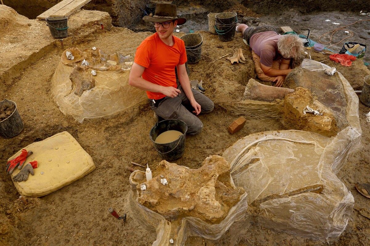 In Angeac-Charente findet jedes Jahr im Sommer eine Ausgrabungskampagne statt. In der Region wurden einige der größten Dinosaurierknochen der Welt gefunden. AFP (5)