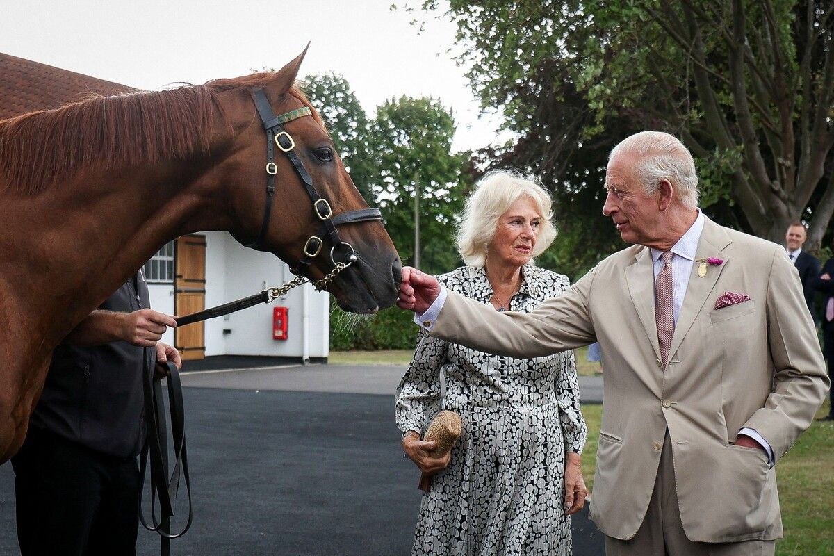 König Charles III. und Königin Camilla treffen im Nationalgestüt in Newmarket (Ostengland) auf das Rennpferd Stradivarius.