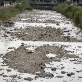 Gewässer im Trockenstress