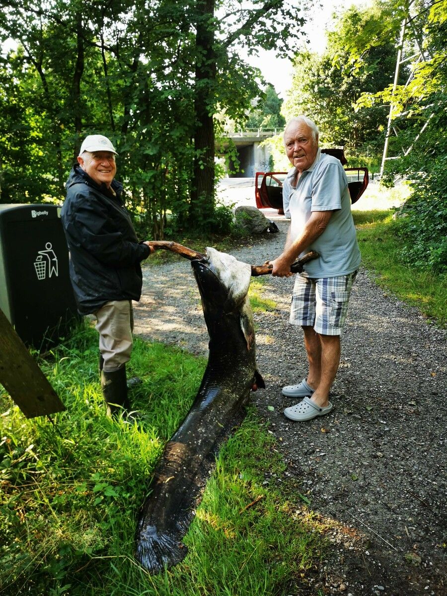 Norbert Ender (r.) half beim Transport. ⇒Norbert Ender