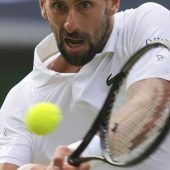 Sinner als vorletzte Hürde für Djokovic