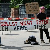 Mehr als 100 ­Strafanzeigen nach Pavian-Tötung