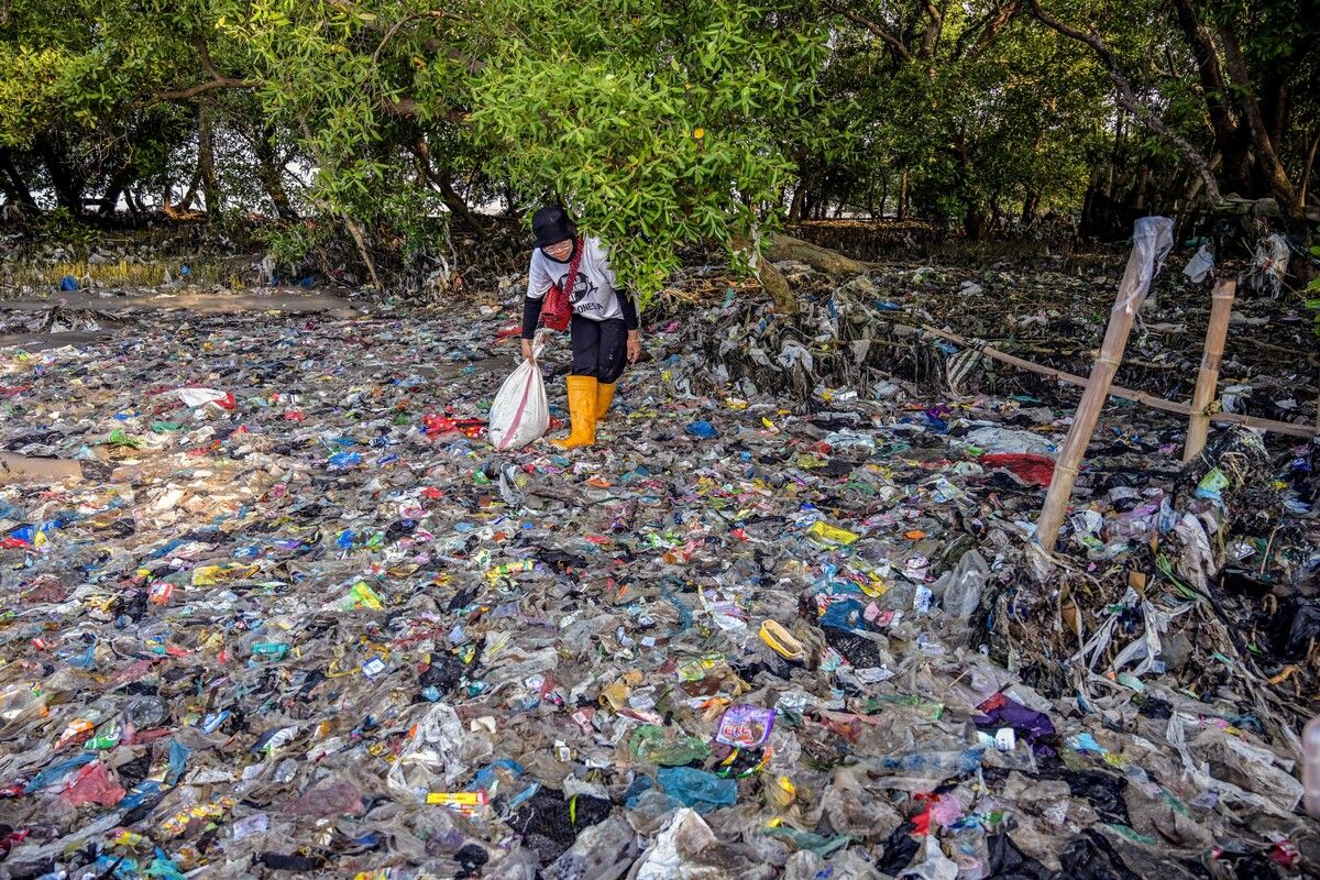 Tonnen von Plastikmüll treiben in einem Mangrovensumpf in Surabaya in Indonesien. AFP (5)
