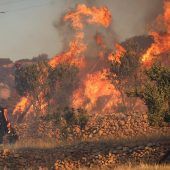 Griechische Feuerwehr kämpft gegen Dutzende Brände