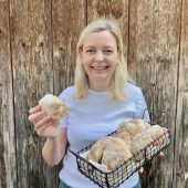 Wie aus der Bäckerei: Die perfekten Brötchen