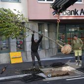 Mehr Grünflächen gegen Hitzefallen