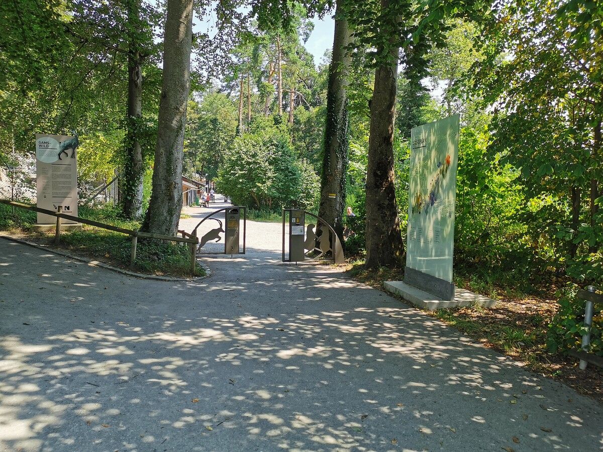 Der Wildpark Feldkirch ist seit 60 Jahren ein beliebtes Ausflugsziel.⇒Stadt Feldkirch