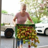 „Das Obst ist heuer schon sehr weit“