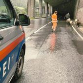 Ungewöhnlicher Begleitschutz