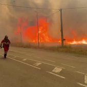 Heftige Waldbrände in Europa
